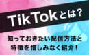 TikTok　配信方法　特徴